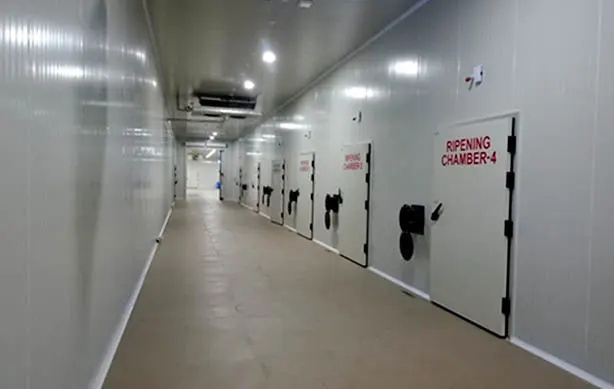 Ripening Chamber Manufacturer