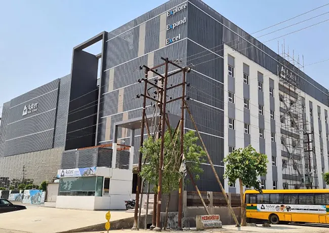 Institutional Sector