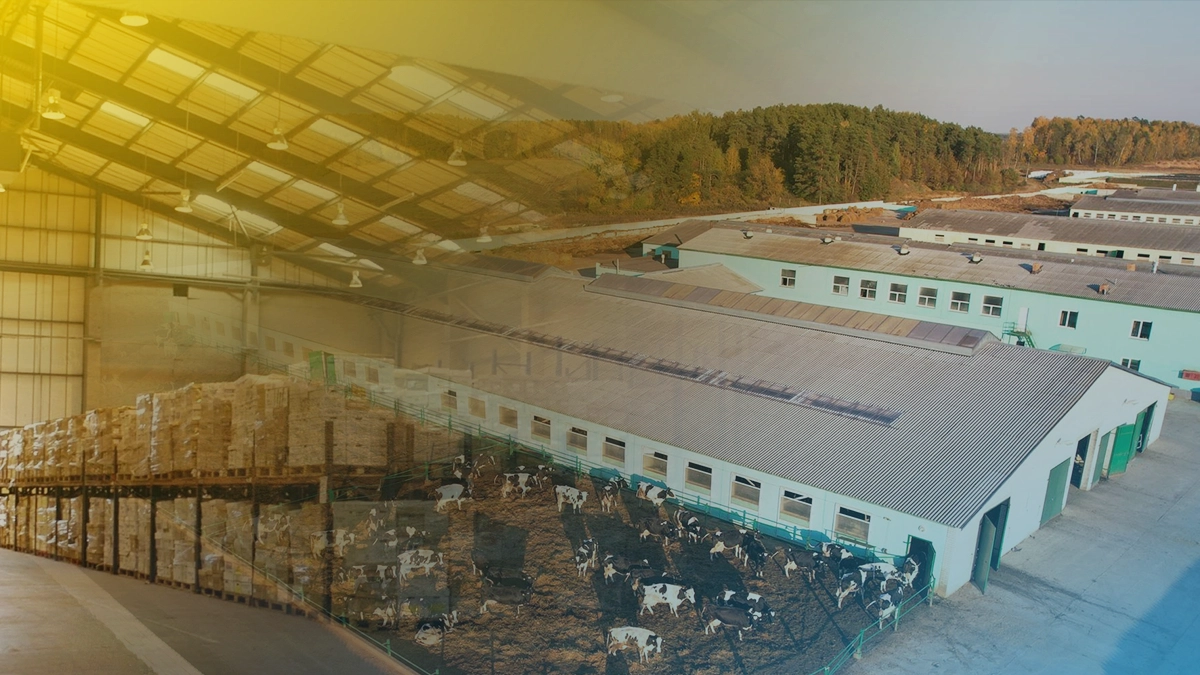 Cultivating Success Agricultural Buildings And Farm Storage Solutions With Pebs